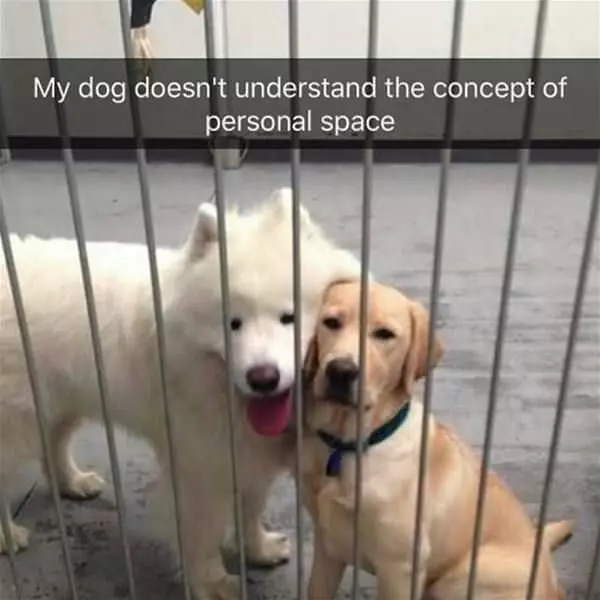 The Concept Of Personal Space