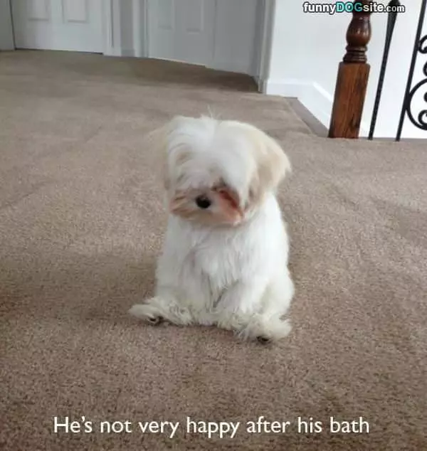 Baths Make Him Sad