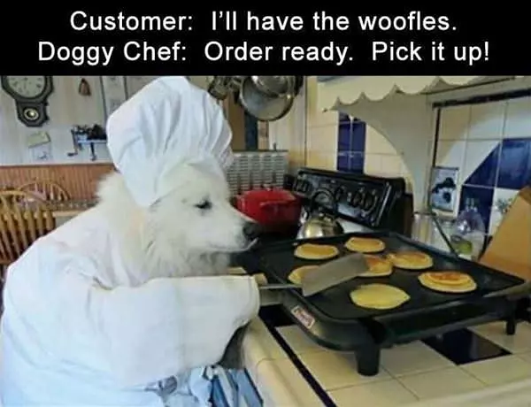 I Will Have The Woofles