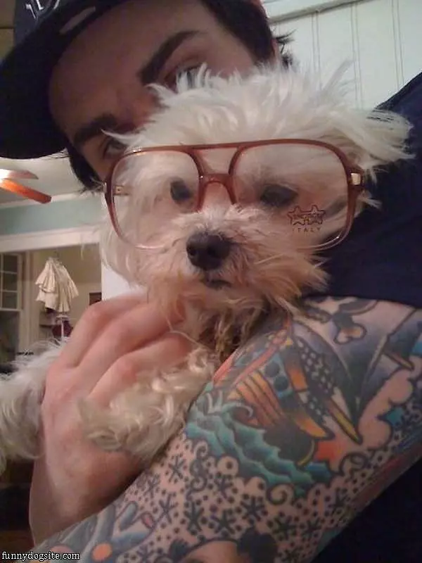 Nice Glasses Dog