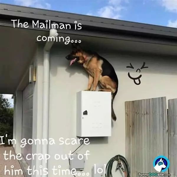 Mailman Is Coming