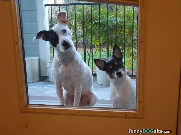Can You Let Us In