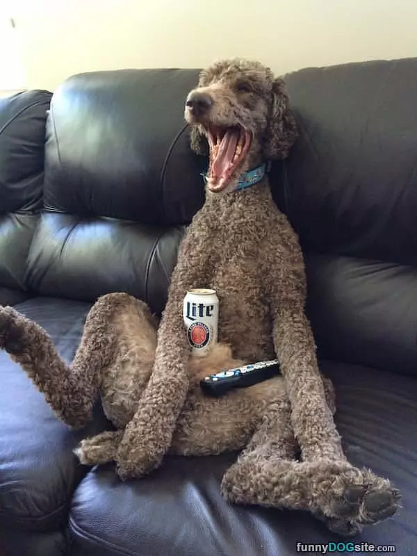 Chilling With A Beer