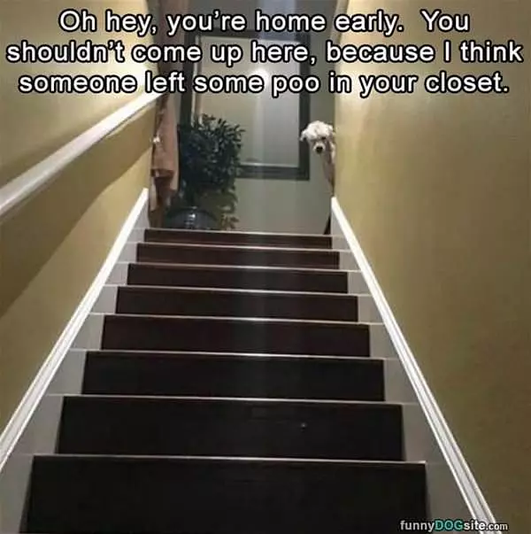 You Came Home Early
