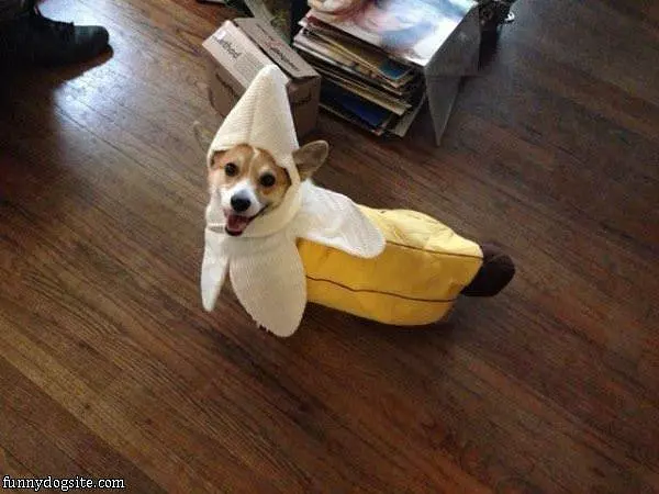Im A Banana Lol