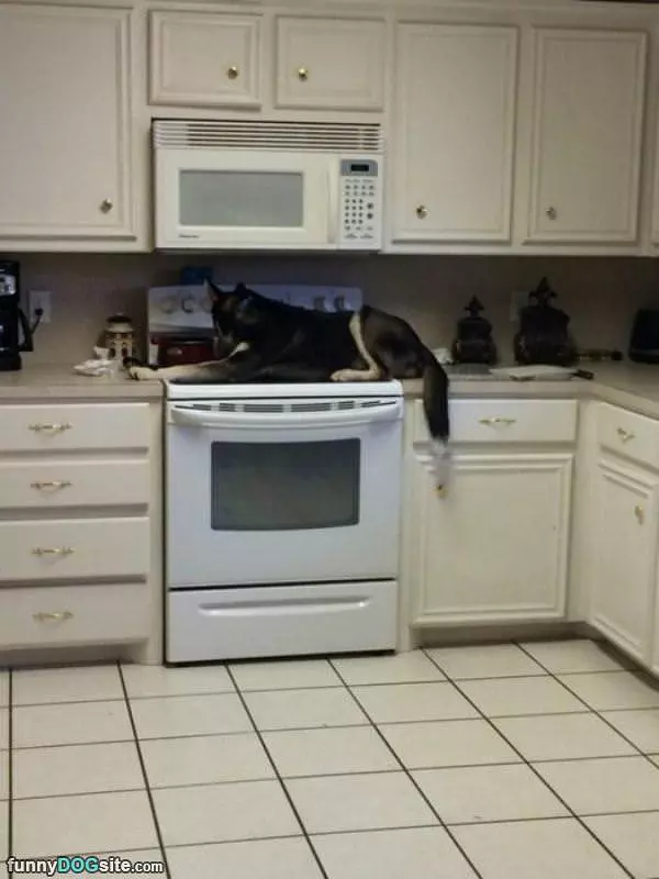 Checking On The Oven