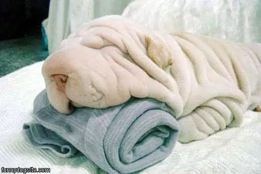 Wrinkly
