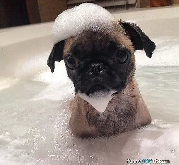 Tiny Bath