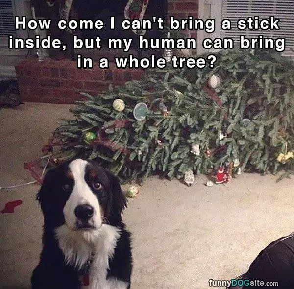 Bring A Stick Inside