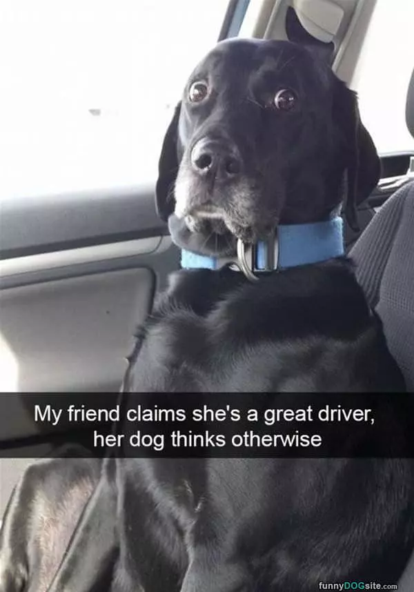 Not A Great Driver