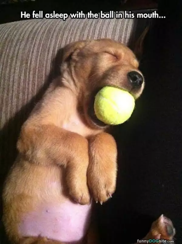 Fell Asleep With His Ball