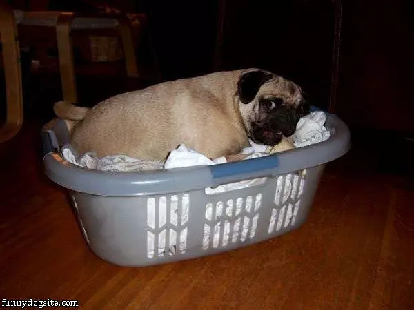 My Sleeping Basket