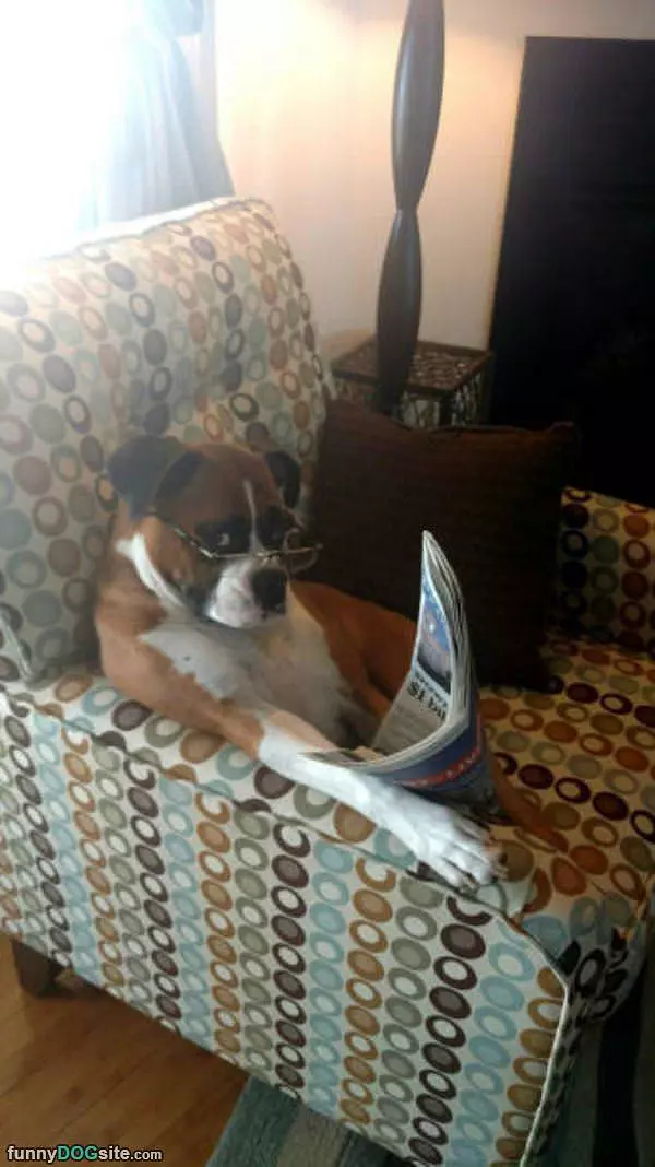 Reading The Paper