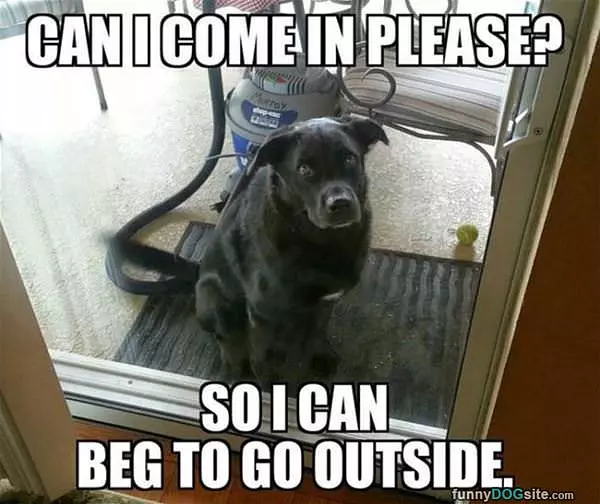 Can I Come In Again Please