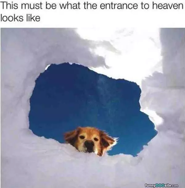 The Entrance To Heaven