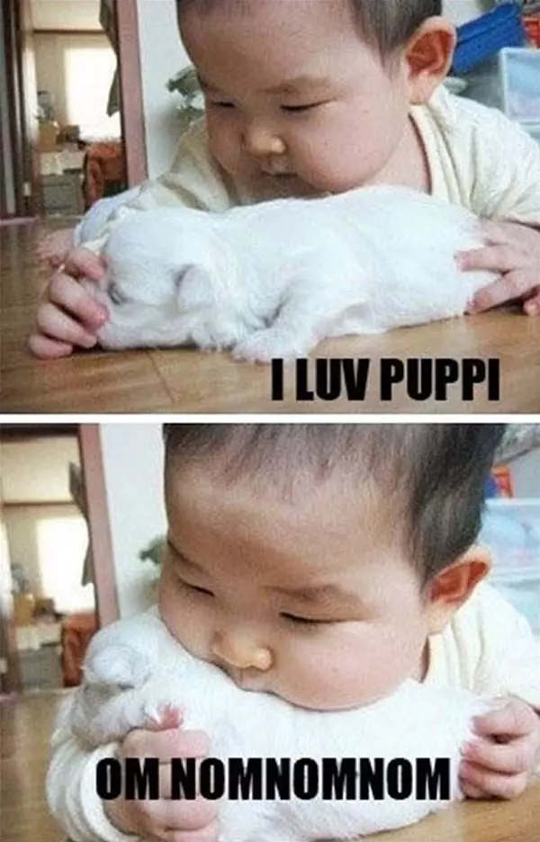 I Love Puppy