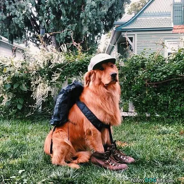 Going Backpacking