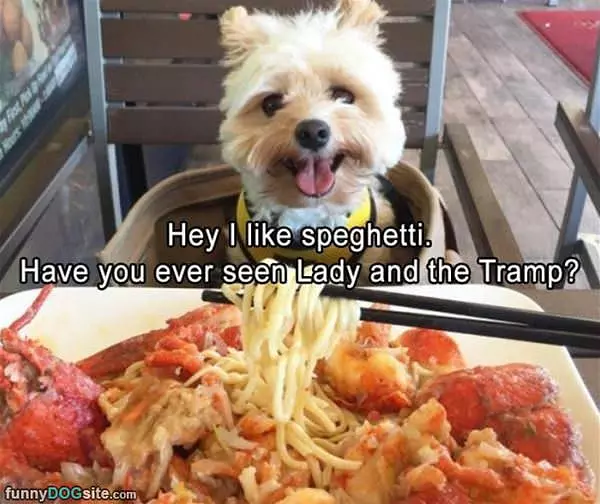 I Like This Spaghetti