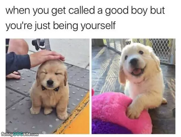 Called A Good Boy