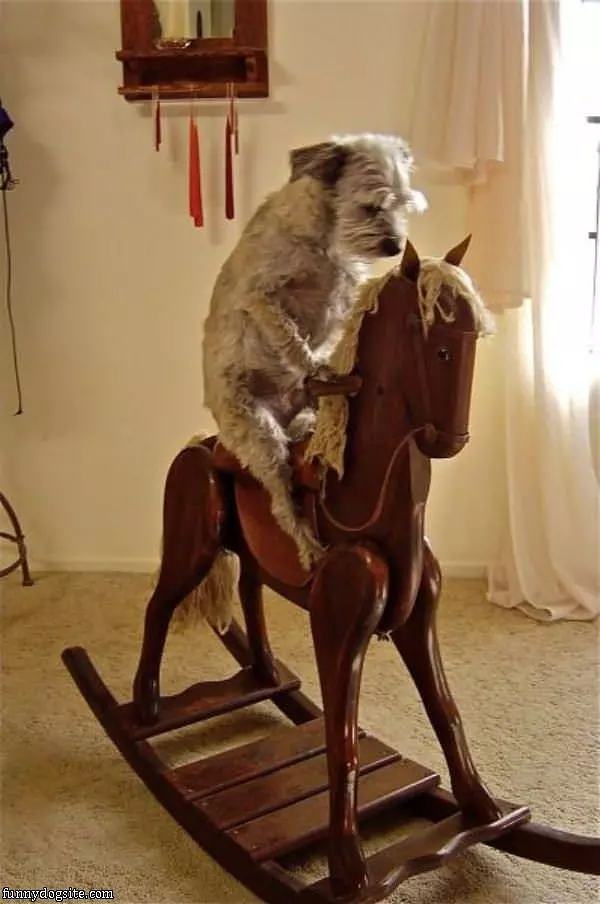 Riding A Horsey