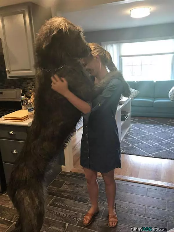 That Is A Tall Dog