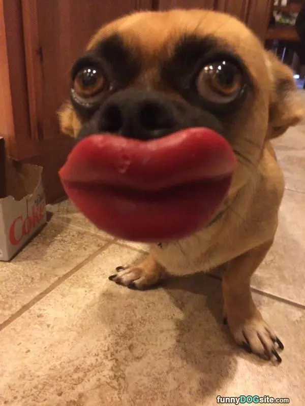 Nice Lips