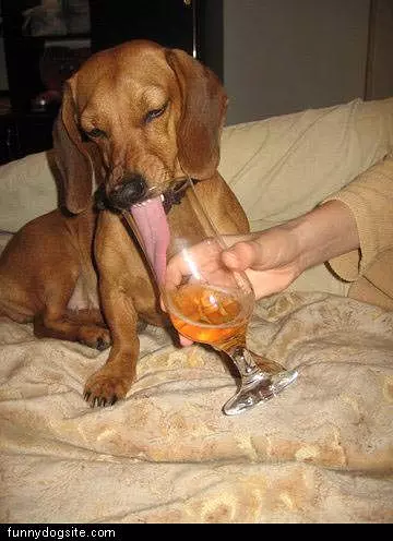 Huge Tongue And Thirsty