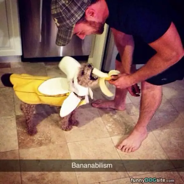 Bananabilism