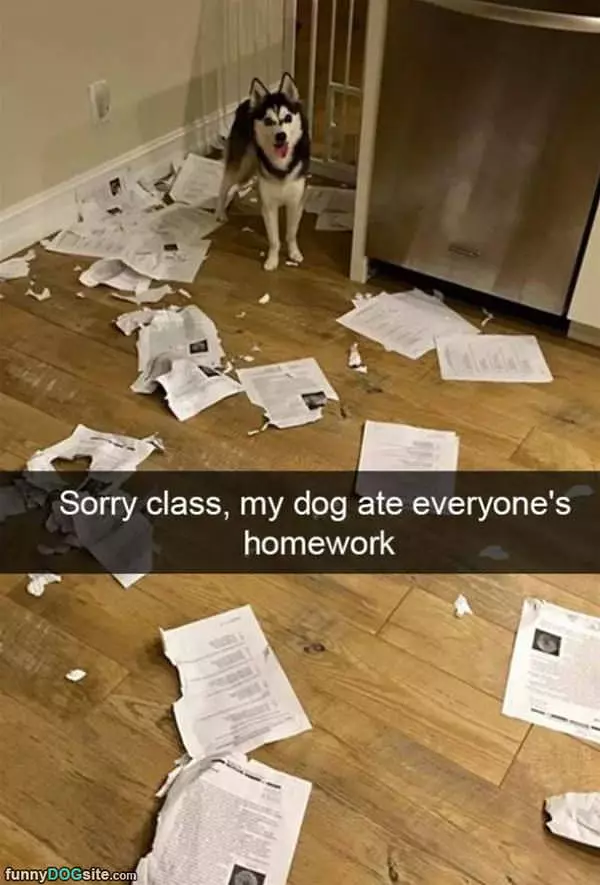 Sorry Class