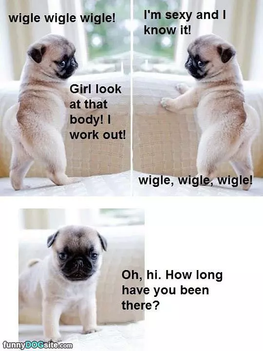 Wiggle Wiggle