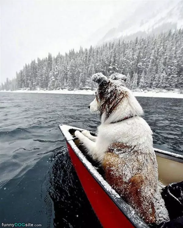 Canoeing Out In The Snow