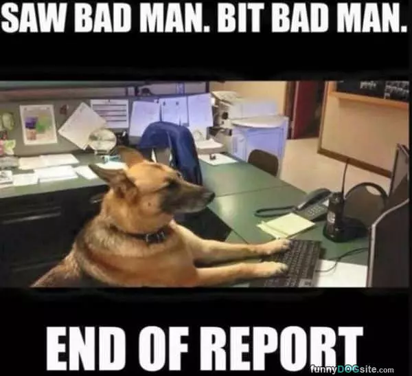 End Of Report