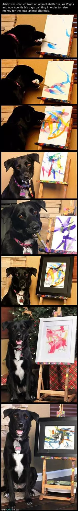 This Dog Is An Artist