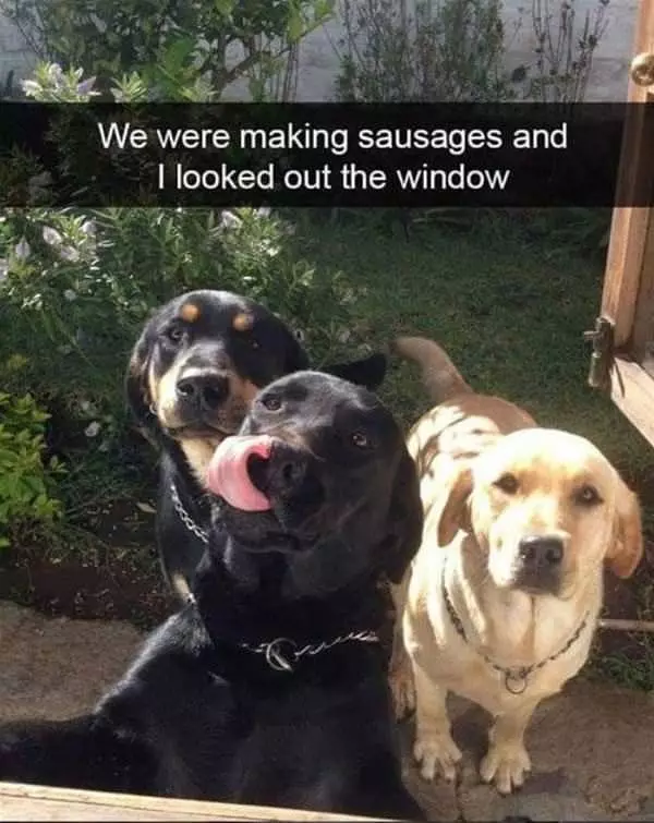 We Were Making Sausages