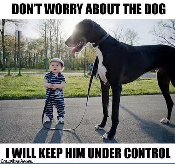 Dont Worry About The Dog