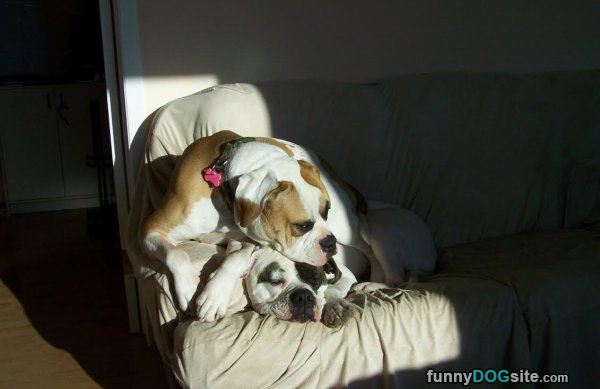 Sharing The Sunlight