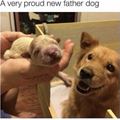 Proud New Father Dog