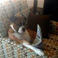 Reading The Paper
