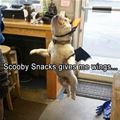 Scooby Snacks Give Me Wings