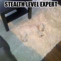 Stealth Level