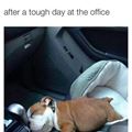 Tough Day At The Office