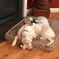 We Share This Bed